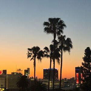 Meet your Posher, Miguel